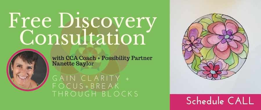 Free Discovery Consultation with Nanette Saylor